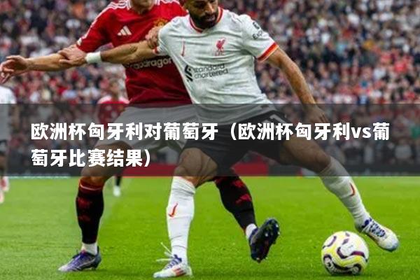 歐洲杯匈牙利對葡萄牙（歐洲杯匈牙利vs葡萄牙比賽結(jié)果）