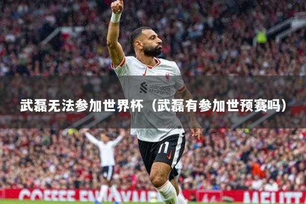 武磊無法參加世界杯（武磊有參加世預(yù)賽嗎）
