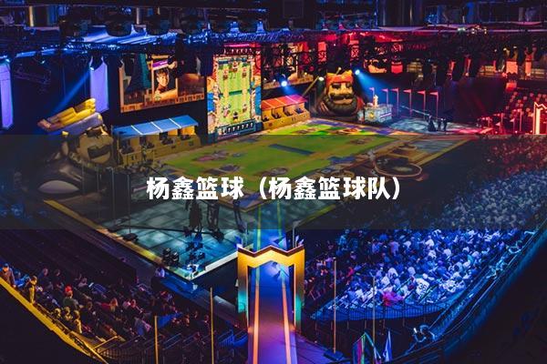 楊鑫籃球（楊鑫籃球隊(duì)）