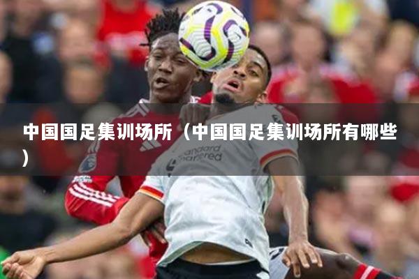 中國國足集訓場所（中國國足集訓場所有哪些）