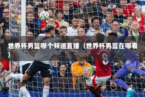 世界杯男籃哪個(gè)頻道直播（世界杯男籃在哪看）